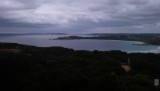 IMAG0917