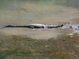 DSCN0131