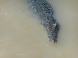 DSCN0571