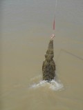 DSCN0581