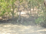 DSCN0583
