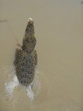 DSCN0588