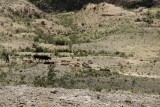 Isla Del Sol
