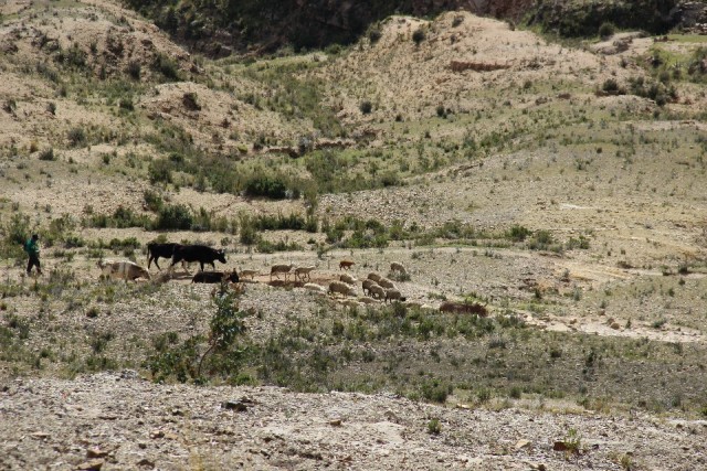 Isla Del Sol