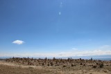Isla Del Sol