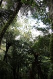 Samaipata