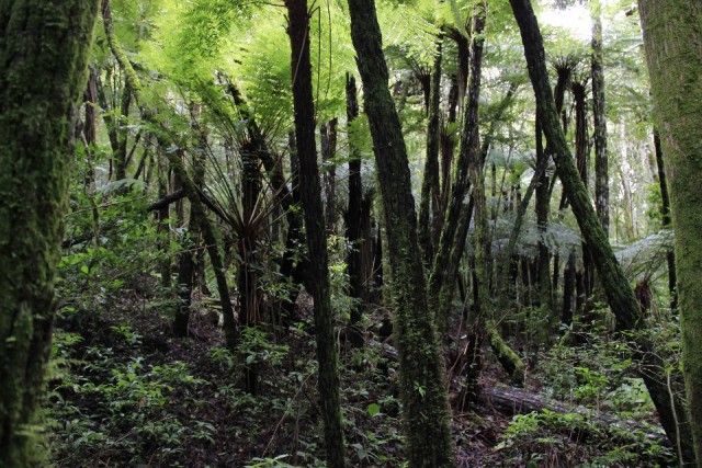 Samaipata