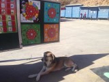 Escuela movil