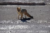 Salar De Uyuni