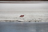 Salar De Uyuni