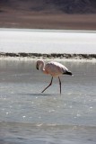 Salar De Uyuni