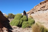 Salar De Uyuni