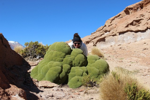 Salar De Uyuni