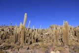 Salar De Uyuni
