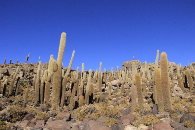 Salar De Uyuni
