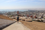 Arica