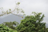 Arenal