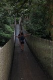 Arenal