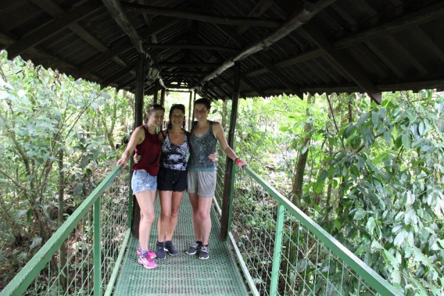 Arenal