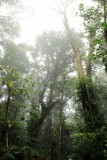 Monte Verde