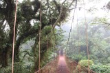 Monte Verde