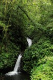 Monte Verde