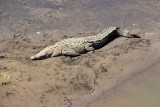 Tussenstop op weg naar Manuel Antonio