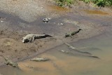 Tussenstop op weg naar Manuel Antonio