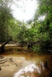 Cahuita