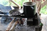 Cahuita