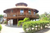 Utila