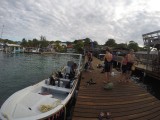 Diving Utila