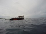 Diving Utila