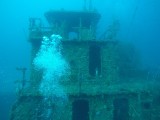 Diving Utila