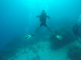 Diving Utila