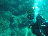 Diving Utila