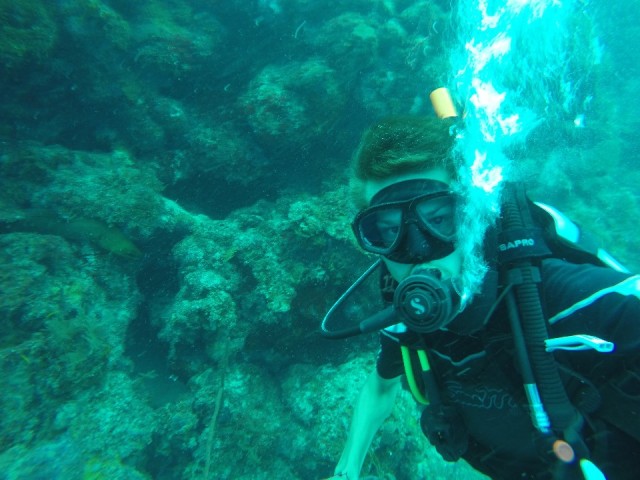 Diving Utila