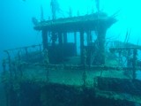 Diving Utila