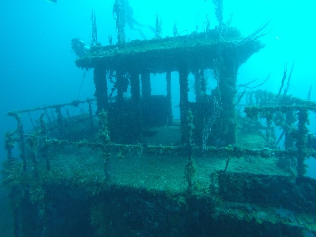 Diving Utila