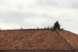 Bogotá