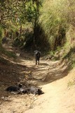 Chugchilán