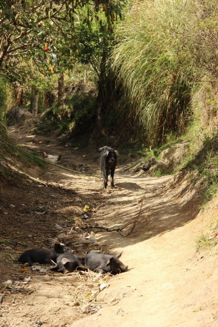 Chugchilán