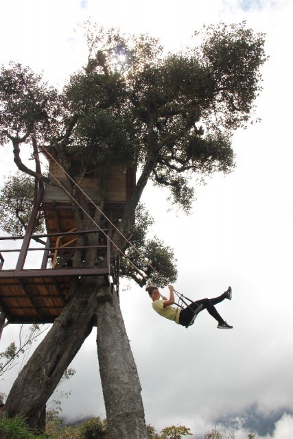 Casa del arbol