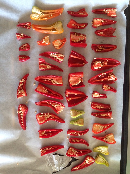 Chilipepers drogen