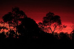 Zonsondergang in de tuin