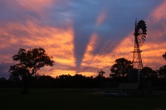 Coonawarra