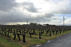 Coonawarra