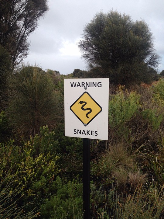 Great ocean road