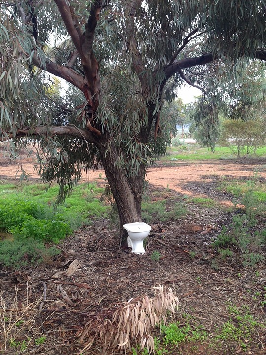 Toilet