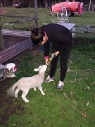 Op de boerderij